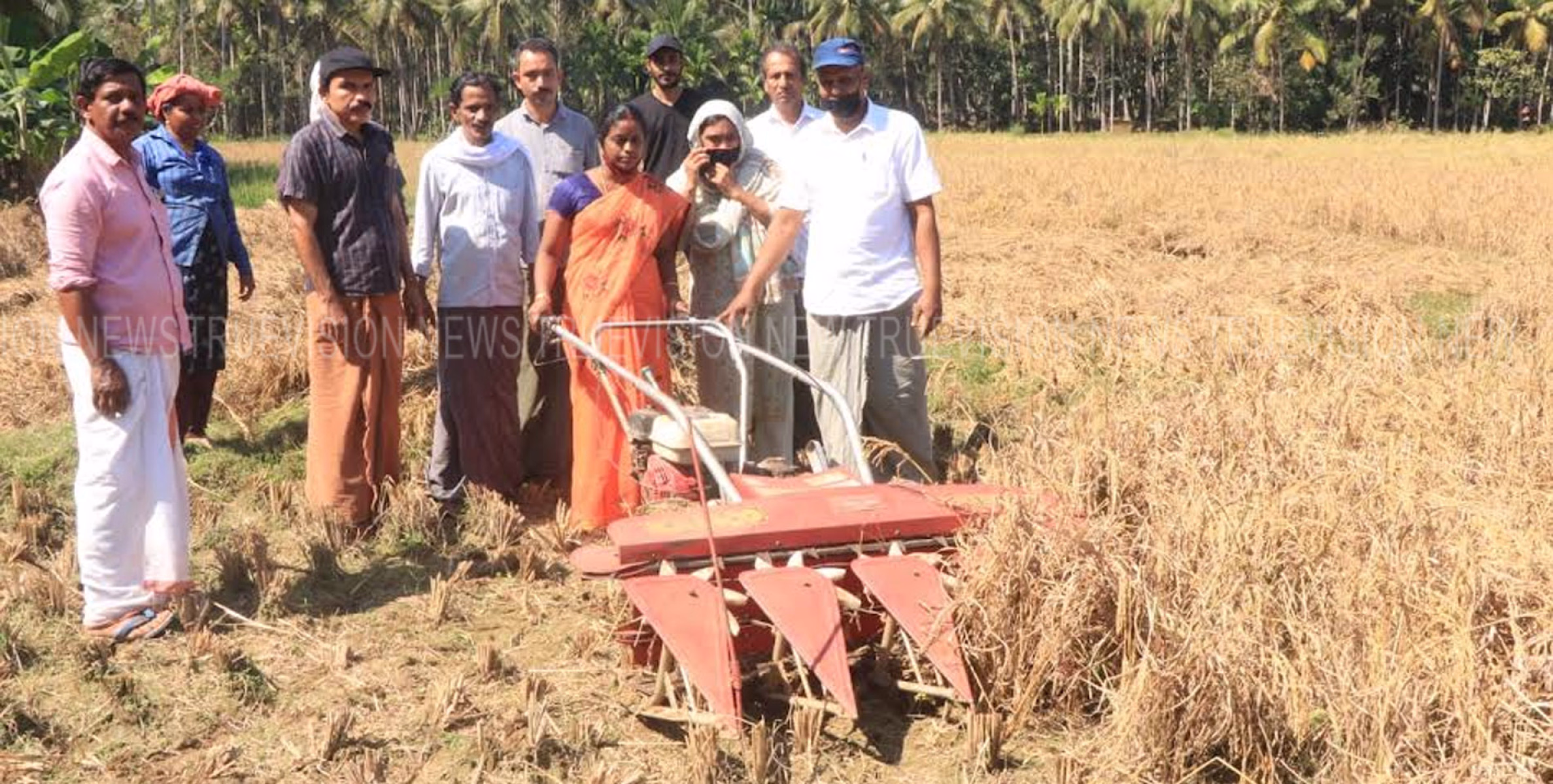 കൊയ്ത്തുല്‍സവം നടത്തി എടവരാട് സമ്യദ്ധി ജൈവ ക്യഷി ക്ലസ്റ്റര്‍ 